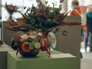 Vědecké laboratoře pod gotickými oblouky. Podzimní Flora připomene výročí zakladatele genetiky