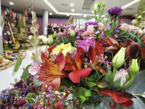 Vědecké laboratoře pod gotickými oblouky. Podzimní Flora připomene výročí zakladatele genetiky