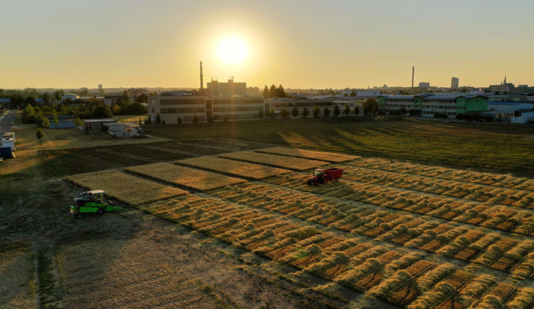 Vědci na akademických dožínkách oslaví konec sklizně i výročí J. G. Mendela