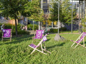 Dárek od spOLečně: Sto fialových lehátek v ulicích nadchla Olomoučany