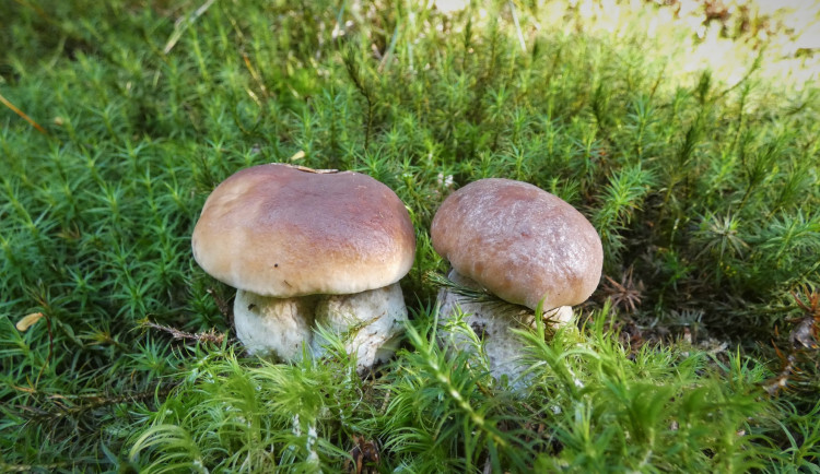 307093611_1519449348488579_601181375452388809_n