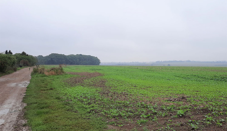 ŘSD vykupuje pozemky pro stavbu nového úseku D35 u Olomouce