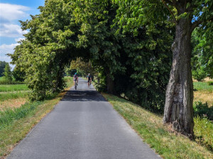 Důležitou cyklostezku z Olomouce do Šternberka čekají opravy. Potrvají až do léta
