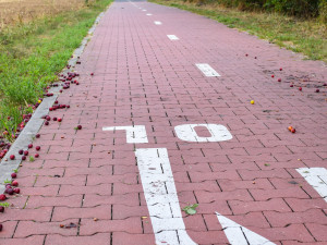 Důležitou cyklostezku z Olomouce do Šternberka čekají opravy. Potrvají až do léta