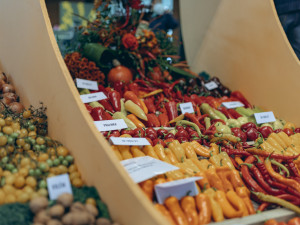 Podzimní Flora láká na osobnosti cukrařiny i gotiku. V hlavní expozici bude čtyřicet tun výpěstků