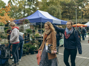 Podzimní Flora láká na osobnosti cukrařiny i gotiku. V hlavní expozici bude čtyřicet tun výpěstků