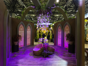 FOTOGALERIE: Zkumavky, květiny a výpěstky. Podzimní Flora přiblíží i taje genetiky