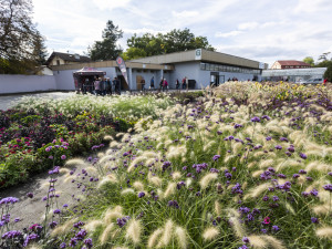 FOTOGALERIE: Zkumavky, květiny a výpěstky. Podzimní Flora přiblíží i taje genetiky