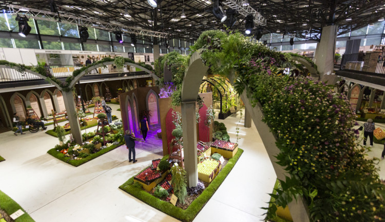 Hlavní expozice podzimní etapy výstavy Flora Olomouc
