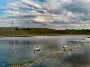 Příkladná péče o zeleň a přírodu: vesnice na Prostějovsku získala prestižní evropskou cenu