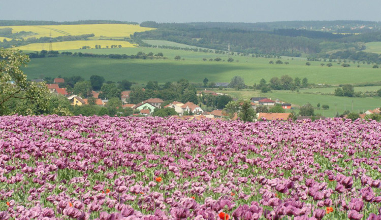 Příkladná péče o zeleň a přírodu: Dobrochov získal prestižní evropskou cenu