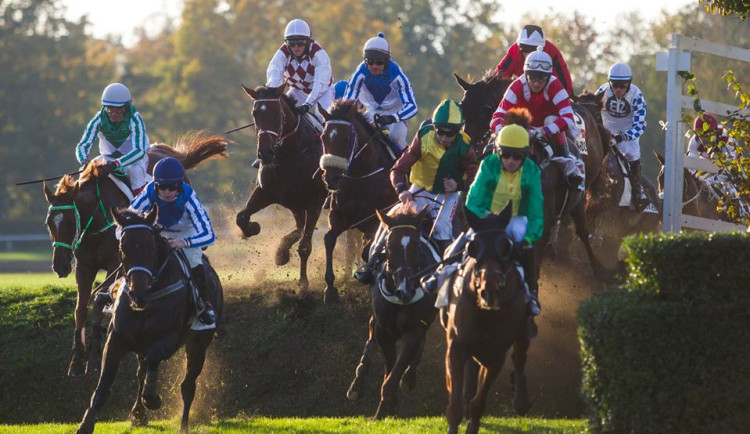 Velká pardubická se poběží už tuhle neděli, je vyprodáno