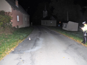 V Křižanově se před půlnocí procházel po silnici kůň. Bez úhony přežil i srážku s autem