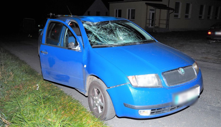 V Křižanově se před půlnocí procházel po silnici kůň. Bez úhony přežil i srážku s autem