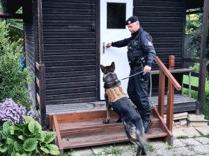 Se zazimováním chalup roste riziko vloupání. Zloděj na Šumpersku odnesl i atrapy kamer