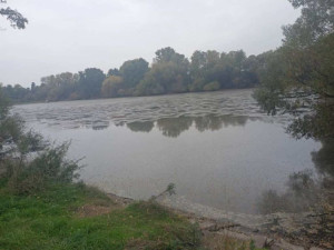 V Dobromilicích někdo vypustil rybník. Uhynuly přes dvě a půl tuny malých kaprů