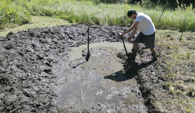 Dobrovolníci vyhloubili na Prostějovsku soustavu tůní. Ty nejmenší poslouží mlokům