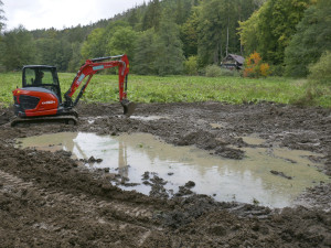 Dobrovolníci vyhloubili na Prostějovsku soustavu tůní. Ty nejmenší poslouží mlokům