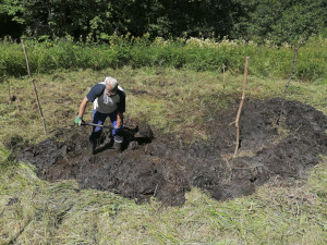 Dobrovolníci vyhloubili na Prostějovsku soustavu tůní. Ty nejmenší poslouží mlokům