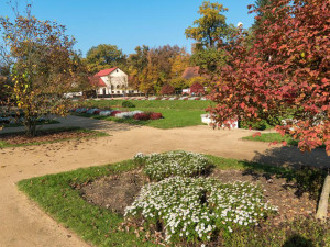 V přerovském parku pokračuje rekonstrukce kritizovaných stezek. Michalov čeká i výsadba nových růží