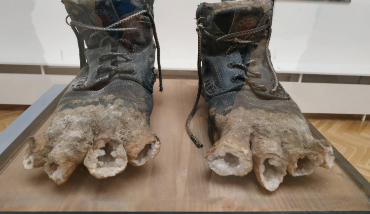 FOTOGALERIE: Kunstkamera v prostějovském muzeu představuje podivuhodný svět Jana Švankmajera