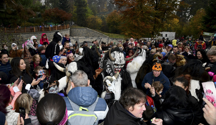 FOTOGALERIE: Hrůzné kostýmy, krampusáci i dýně pro zvířata. V Zoo Olomouc pokračuje Strašidelný týden