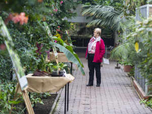Vzácné druhy orchidejí představí výstava Klenoty pralesa ve Smetanových sadech