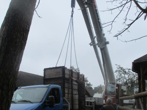 Na Svatý Kopeček dorazil statný Odin. Zoo získala samce vzácného pižmoně