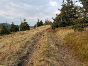 Na Červené hoře těžká technika rozjezdila vzácnou tundru. Případ už řeší inspekce životního prostředí