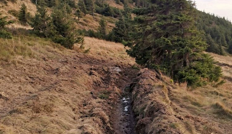 Na Červené hoře těžká technika rozjezdila vzácnou tundru. Případ už řeší inspekce životního prostředí