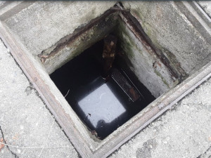 Naštěstí tam byl klacek, kterého se držel, popisují dva sedmáci z Uničova záchranu kamaráda z jímky