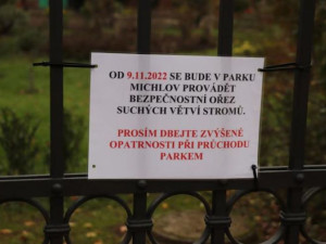 V přerovském parku Michalo začalo ořezávání stromů. Město vyzývá návštěvníky, aby dávali pozor