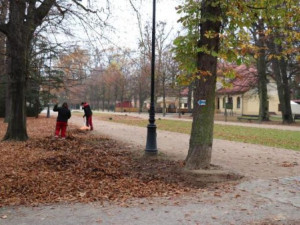 V přerovském parku Michalo začalo ořezávání stromů. Město vyzývá návštěvníky, aby dávali pozor