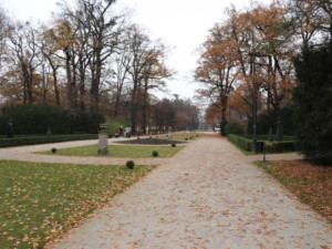 V přerovském parku Michalo začalo ořezávání stromů. Město vyzývá návštěvníky, aby dávali pozor