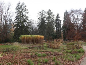 V přerovském parku Michalo začalo ořezávání stromů. Město vyzývá návštěvníky, aby dávali pozor