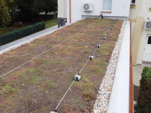 Šternberský dům dětí a mládeže má zelenou střechu. Zachytí dešťovou vodu a slouží jako izolace