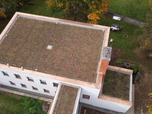 Šternberský dům dětí a mládeže má zelenou střechu. Rozchodník zachytí dešťovou vodu a slouží jako izolace