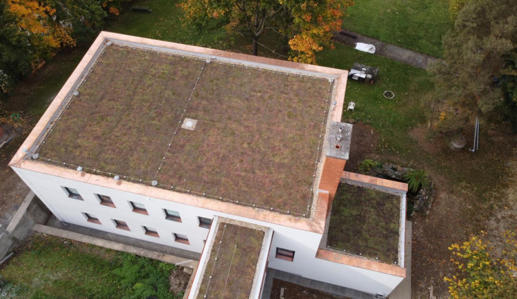 Šternberský dům dětí a mládeže má zelenou střechu. Zachytí dešťovou vodu a slouží jako izolace