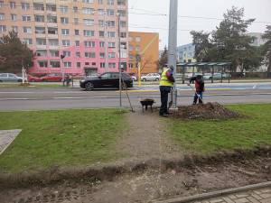 Půlmiliardová přestavba s rezervami. Značení pro cyklisty je na Zikově nebezpečné, míní koordinátor BESIPu