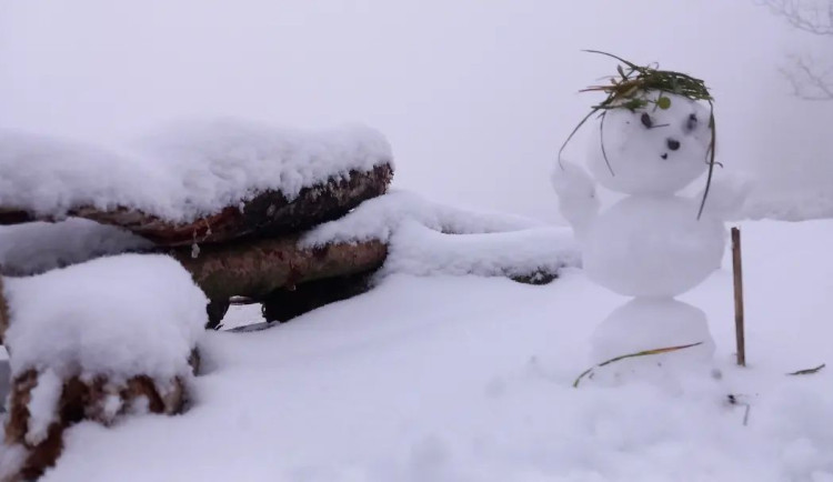 VIDEO: V kraji padá sníh, silničáři vyrazili už v noci. Meteorologové varují před náledím