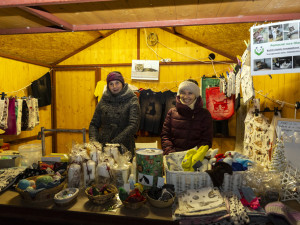 Rozsvícení stromu v Olomouci přilákalo davy. Jedle dostala jméno Perníček