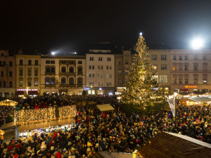 Rozsvícení stromu v Olomouci přilákalo davy. Jedle dostala jméno Perníček