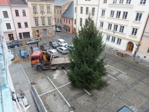 Vánoční strom v Šumperku