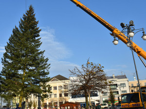 Vánoční strom v Hranicích