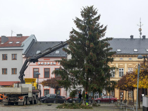 Vánoční strom ve Šternberku