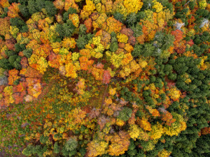 (NE)OBYČEJNÍ: S lokálním pivem na horské vrcholy. Cestovatel z Olomouce uvede novou knihu plnou zážitků
