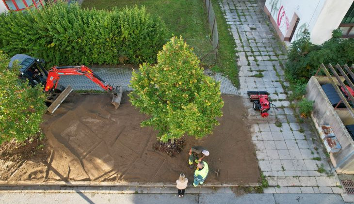 Nové stromy, záhony a trávníky. I takový byl olomoucký podzim