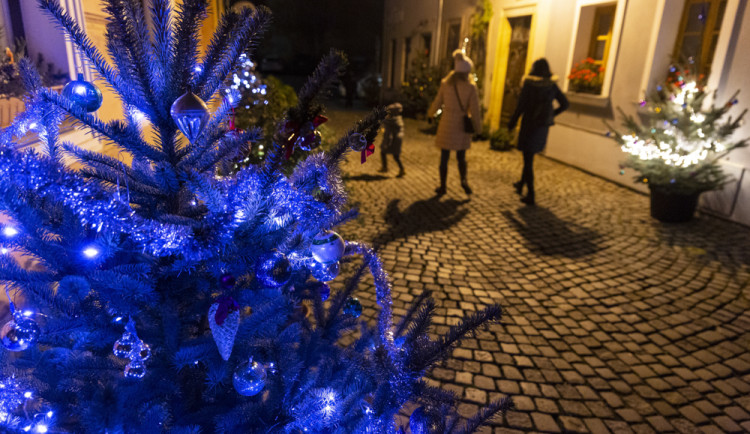 Sváteční ulička v centru Olomouce. Letos ji opět rozzářily vánoční stromky