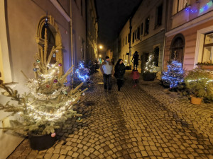 Sváteční ulička v centru Olomouce. Již podruhé ji rozzářily vánoční stromky