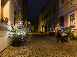 Sváteční ulička v centru Olomouce. Již podruhé ji rozzářily vánoční stromky